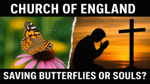 Church Of England – Saving Butterflies Or Souls