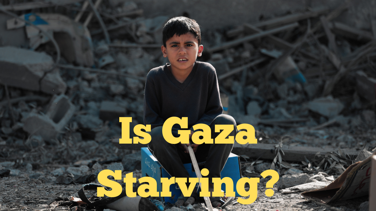 Is Gaza starving?