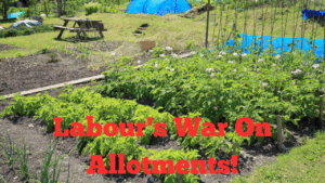 Labour's War On Allotments!